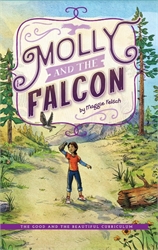 Reading Booster C - Molly and the Falcon