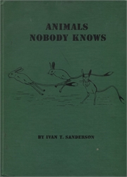 Animals Nobody Knows