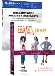 Introduction to Anatomy & Physiology 2 - Set