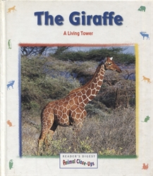 Giraffe: A Living Tower