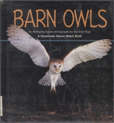 Barn Owls