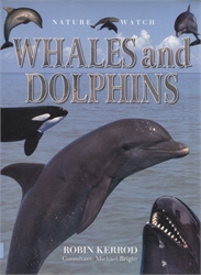 Whales and Dolphins