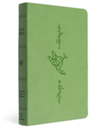 ESV Children's Bible (Green)