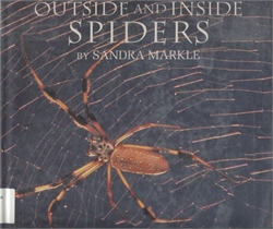 Outside and Inside Spiders