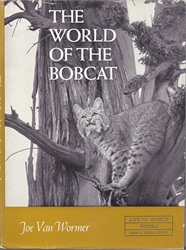 World of the Bobcat