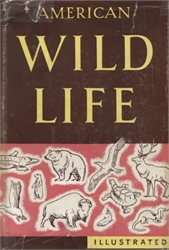 American Wild Life