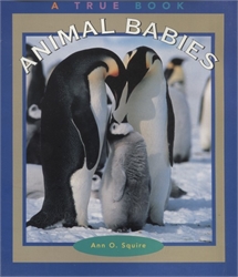 True Books: Animal Babies