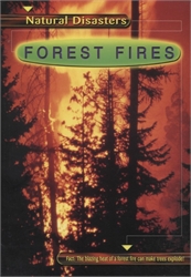 Natural Desasters: Forest Fires