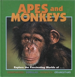 Apes and Monkeys