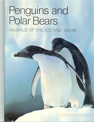 Penguins and Polar Bears
