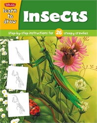 Learn to Draw: Insects