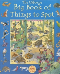 Usborne Big Book of Things to Spot