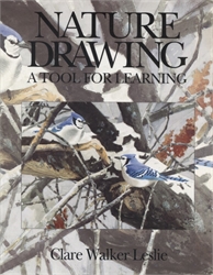 Nature Drawing