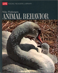 Animal Behavior