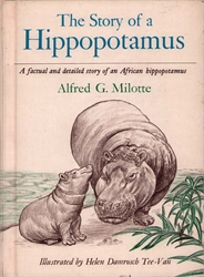 Story of a Hippopotamus