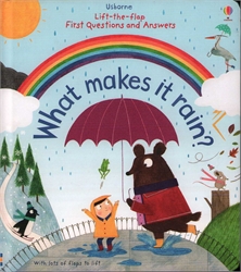 Usborne Lift-the-Flap What Makes it Rain?