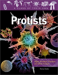 Protists