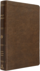 ESV Holy Bible: Dyslexia-Friendly Edition