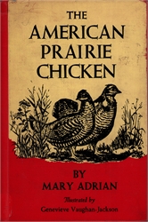 American Prairie Chicken