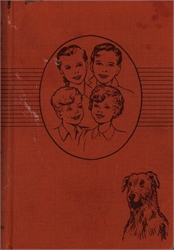 Bobbsey Twins #25 (brown)