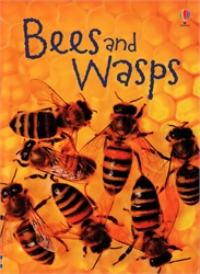 Bees and Wasps