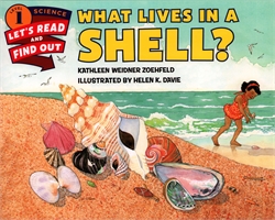 What Lives In a Shell?