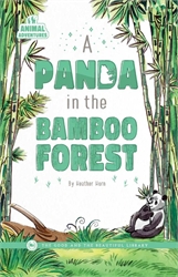Panda in the Bamboo Forest