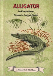 Alligator