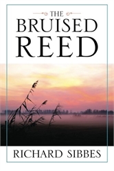 Bruised Reed